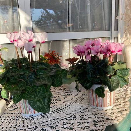 Rahel'S Home Beersheba ภายนอก รูปภาพ